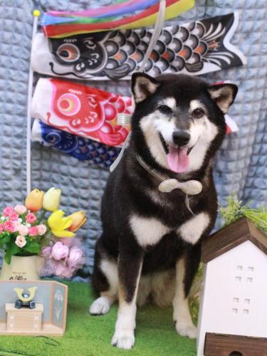 20230502ひめちゃん